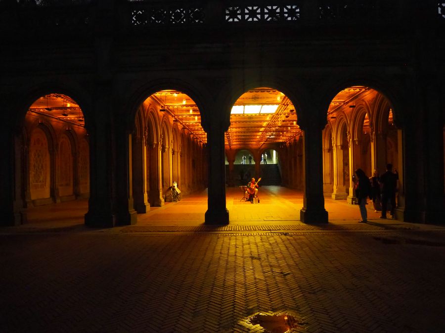 Bethesda Terrace arcade