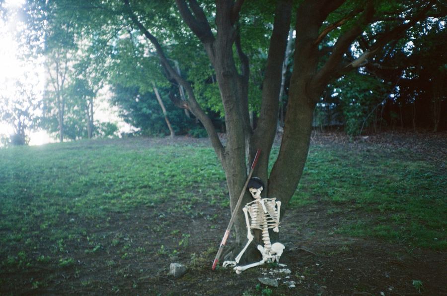Skeleton under a tree